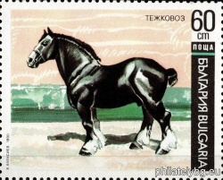 БК 3923