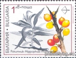 БК 3973