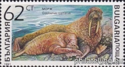 БК 3977