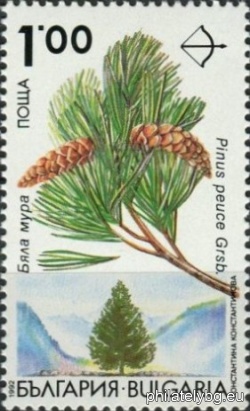 БК 4019