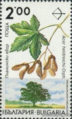 БК 4021