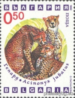 БК 4037