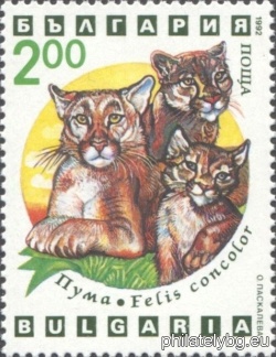 БК 4039