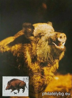 БК 4101