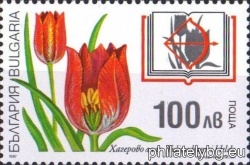 БК 4299