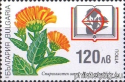 БК 4300