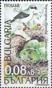 БК 4419