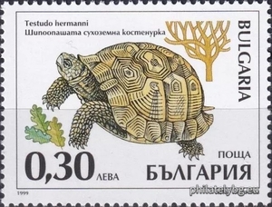 БК 4425