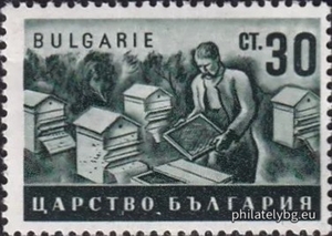 БК 448