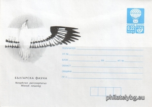 БК p200117