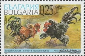 БК 4556
