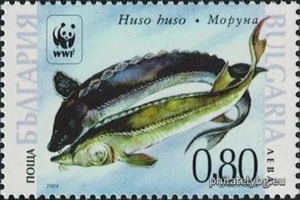БК 4667