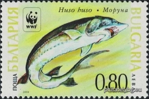 БК 4668