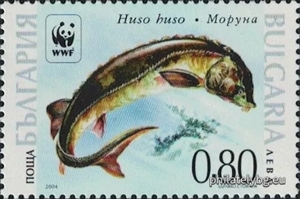 БК 4669