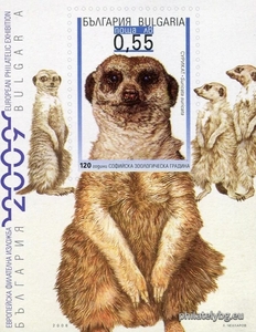 БК 4838