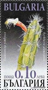 БК 4884