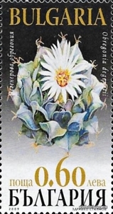 БК 4886