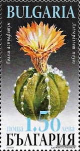 БК 4887