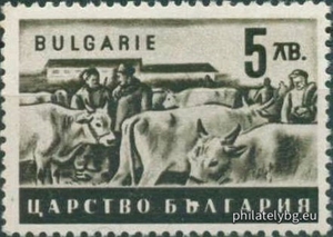 БК 503