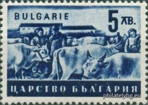 БК 504