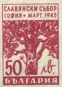 БК 521