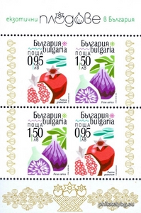 БК 5699-5700