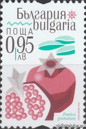 БК 5699