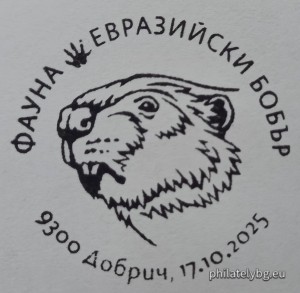 БК 5731