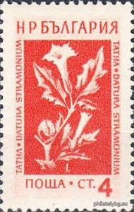 БК 915