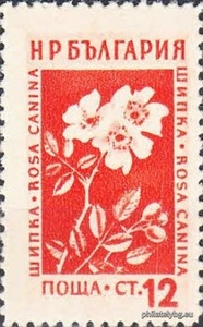 БК 917