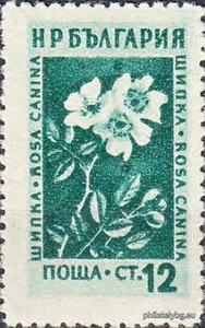 БК 918