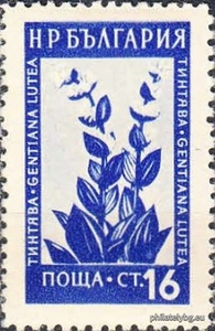 БК 919