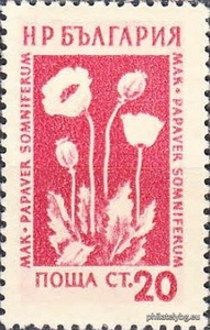 БК 921