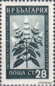 БК 922