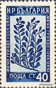 БК 923