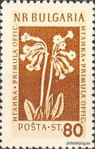 БК 925