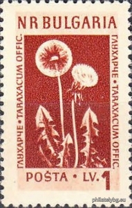 БК 926