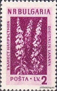 БК 927