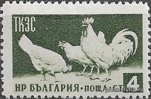 БК 968