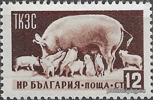 БК 969