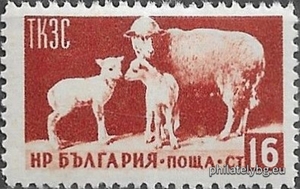 БК 970