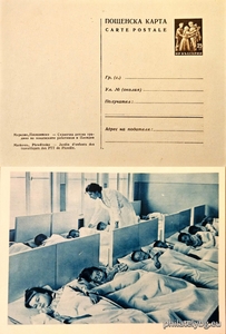 БК k19561