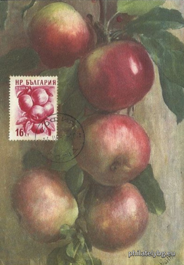 1956