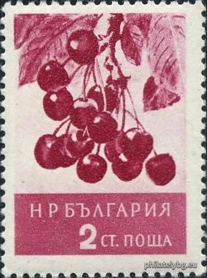 Борис Ангелушев и Стефан Кънчев ( в колектив - група )