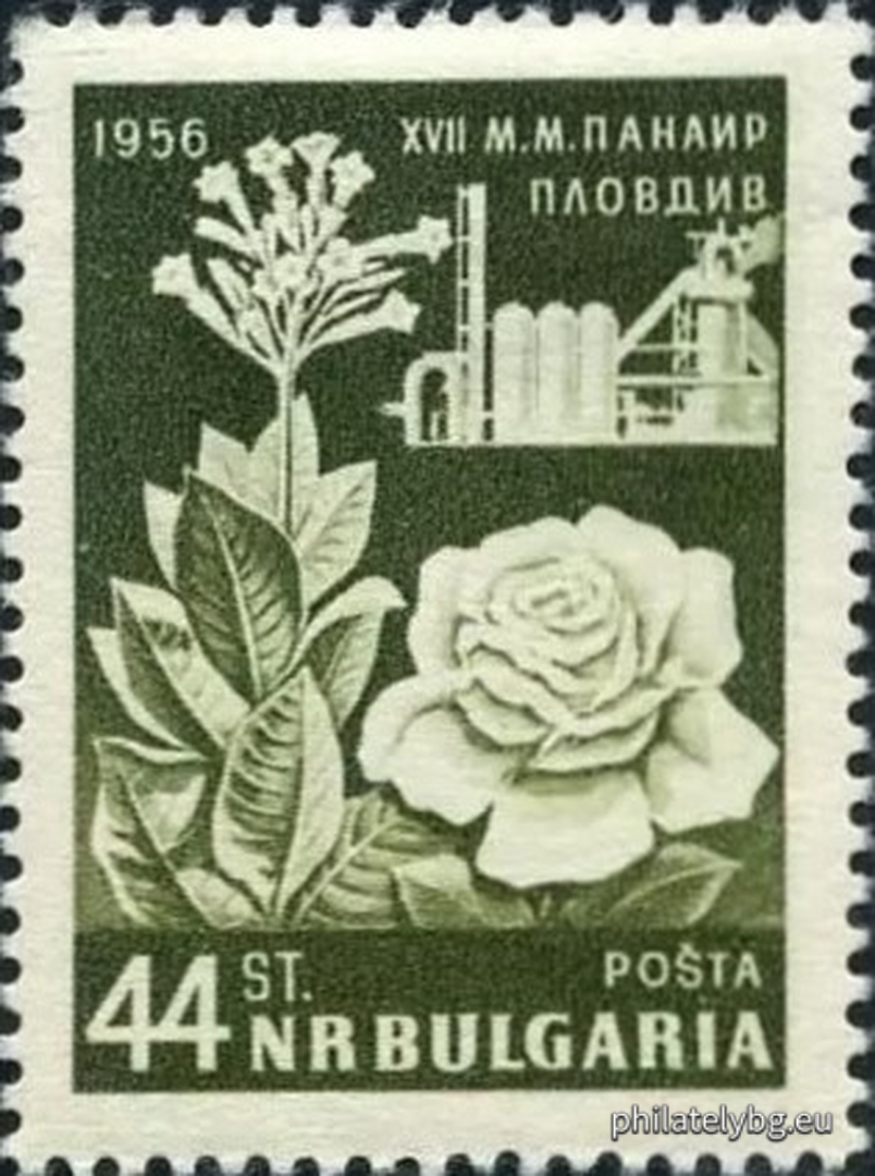 Димитър Кръстев