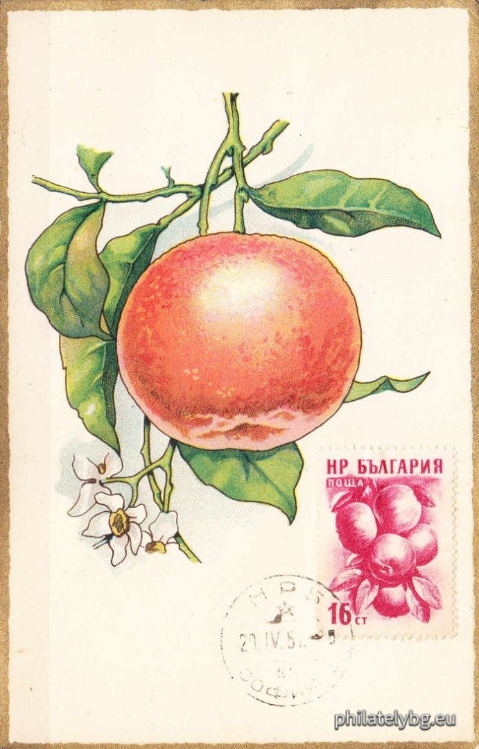 1957