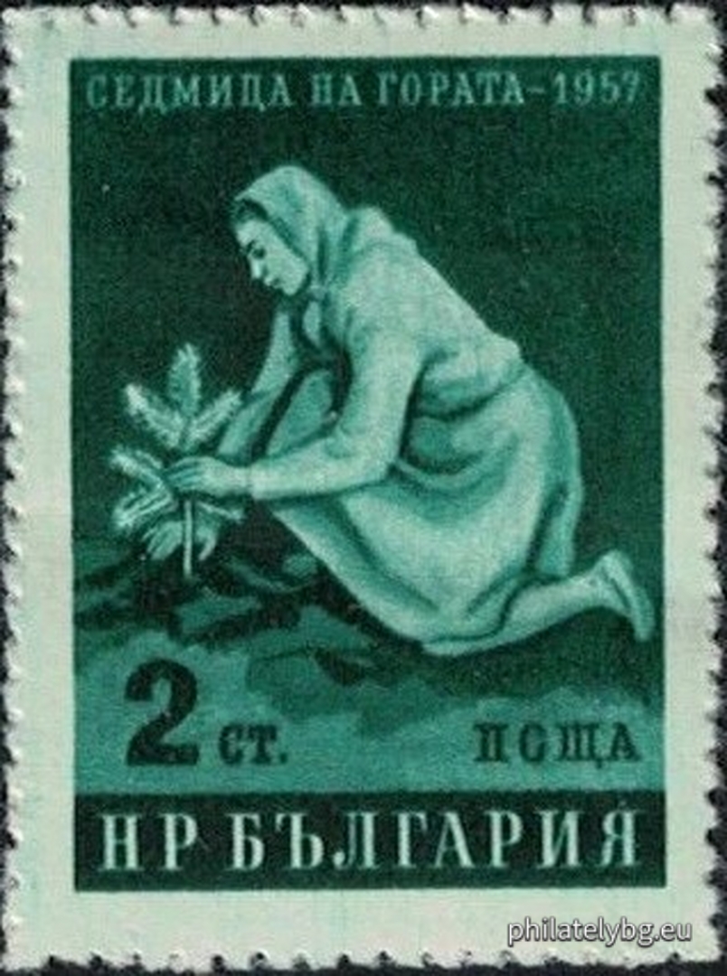 Веселин Стайков и Васил Бараков ( в колектив - група )
