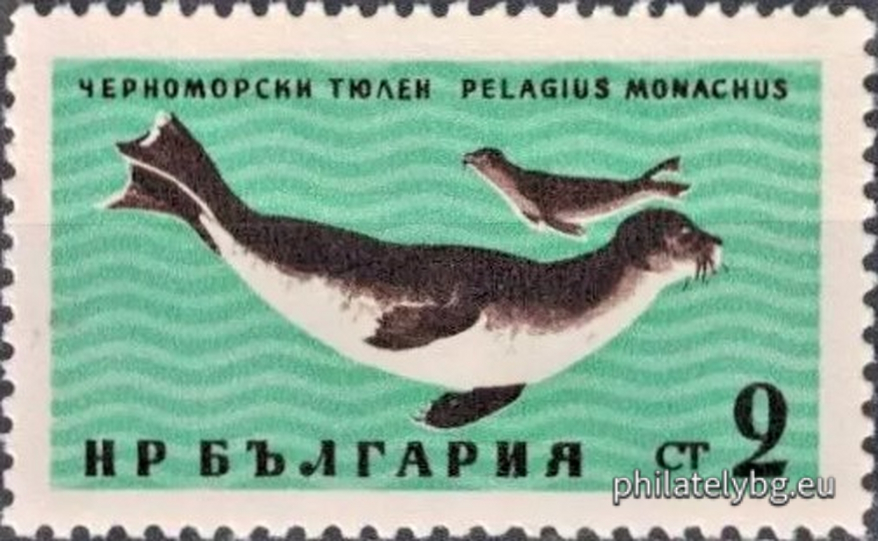 Веселин Томов и Никола Тузсузов ( в колектив - група )
