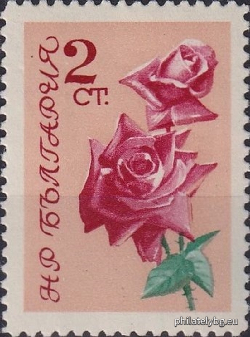 Decorative roses.