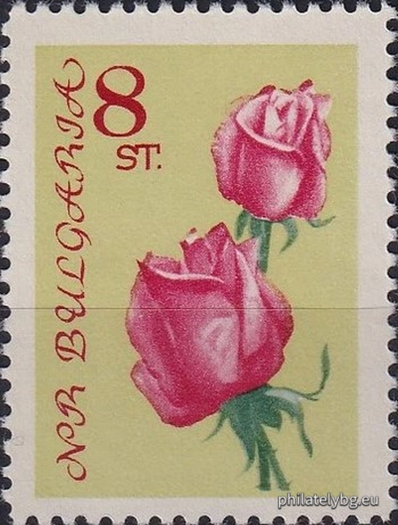Decorative roses.